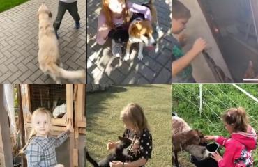 Kisfilm született az állatok világnapján