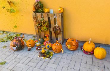 Az ősz csodái gyermekszemmel