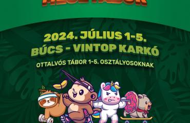 Mesetábort szervezünk