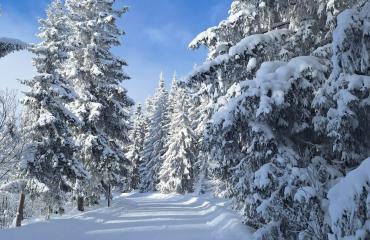 Sítanfolyamon jártunk