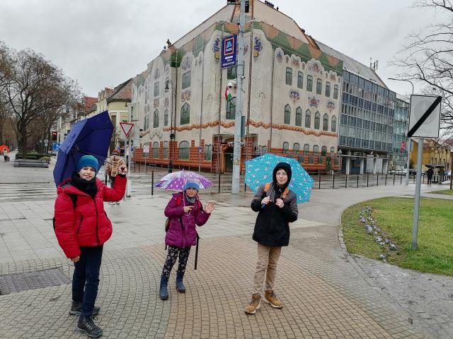 Cifrapalota, zöld az ablaka