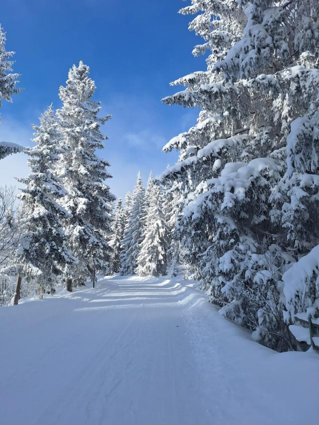 Sítanfolyamon jártunk